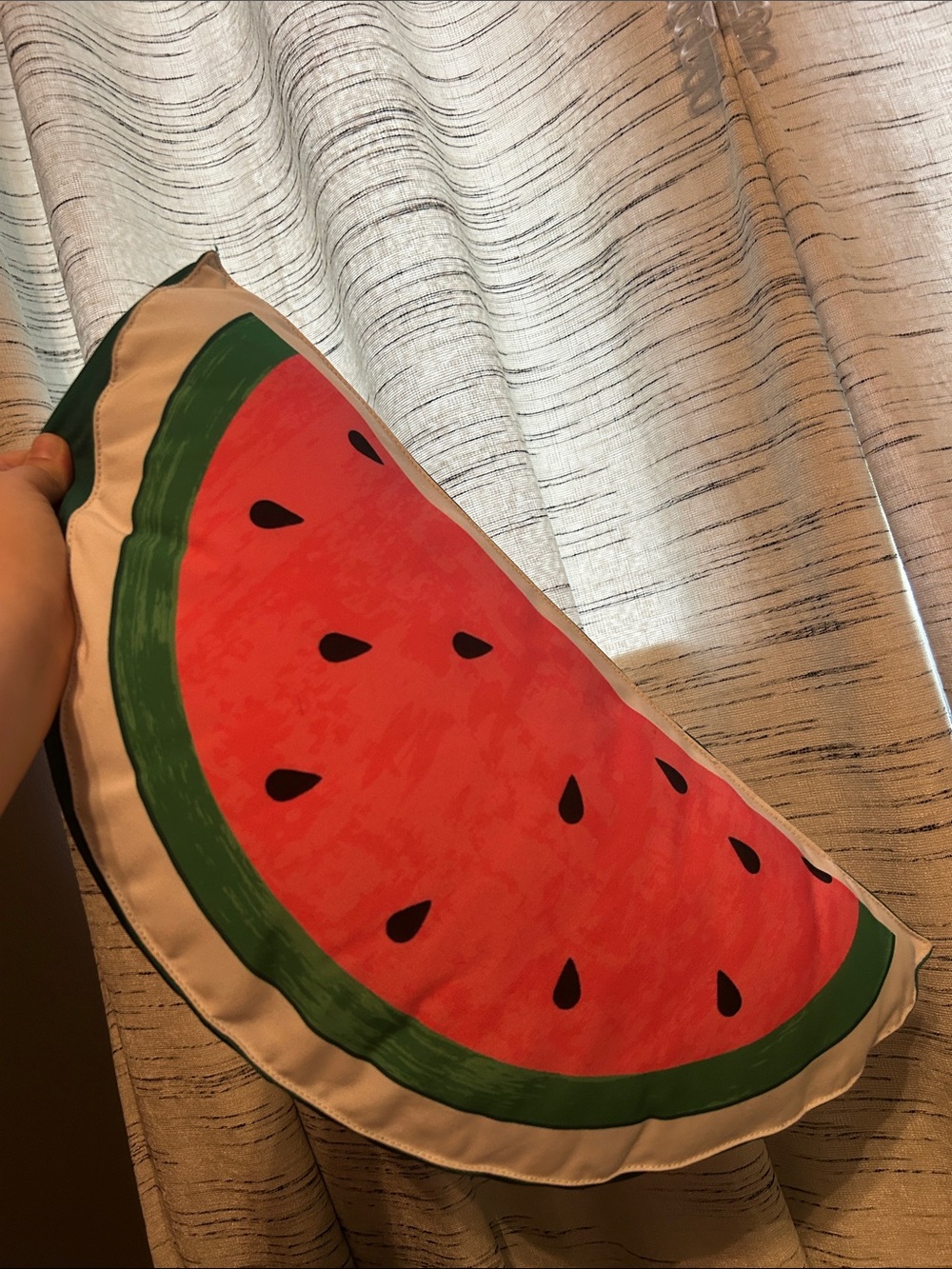 Isaac Mizrahi Watermelon Slice Decorative Pillow - Red, Green, Black, Cream